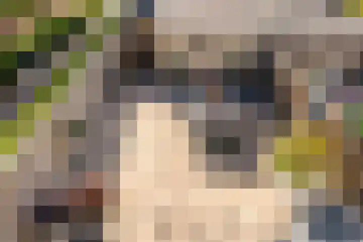 Slagbaai 12 Almere thumbnail 38
