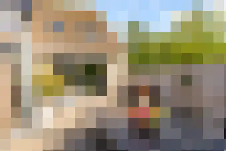 Slagbaai 12 Almere thumbnail 42