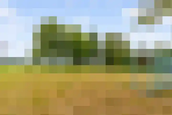 Slagbaai 12 Almere thumbnail 49