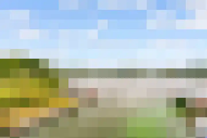 Slagbaai 12 Almere thumbnail 50