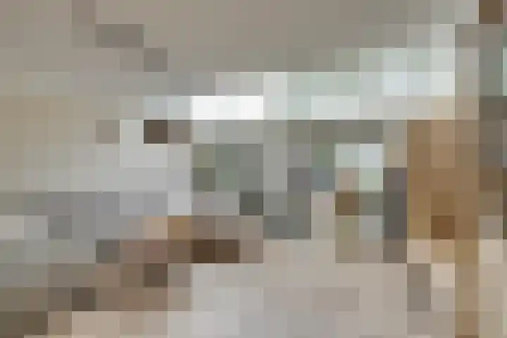 Slagbaai 22 Almere thumbnail 13
