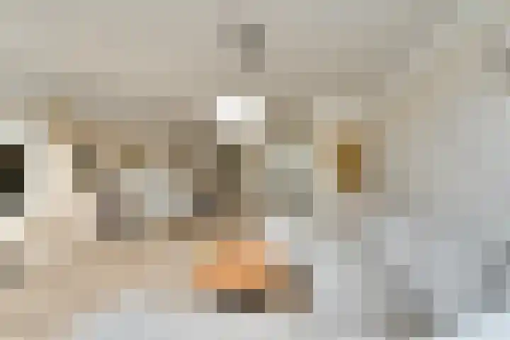 Slagbaai 22 Almere thumbnail 17