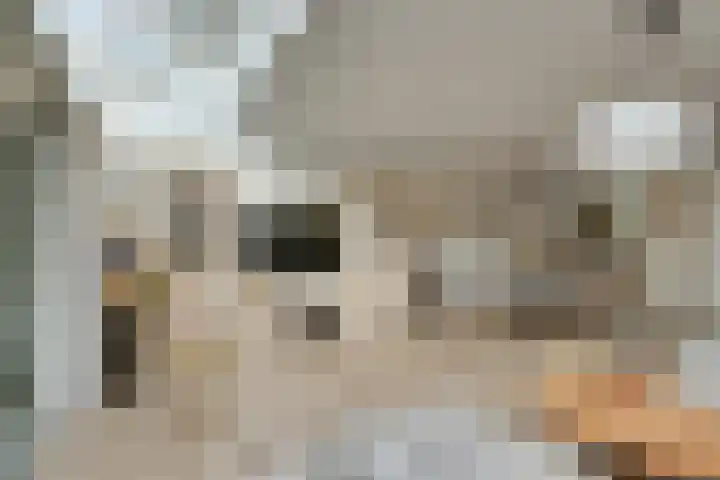 Slagbaai 22 Almere thumbnail 18