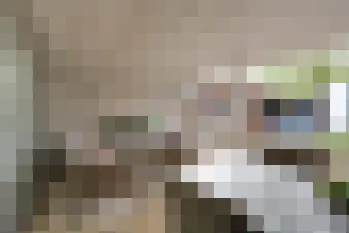 Slagbaai 22 Almere thumbnail 25