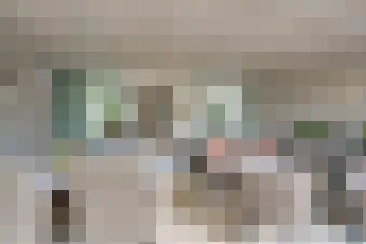 Slagbaai 22 Almere thumbnail 27