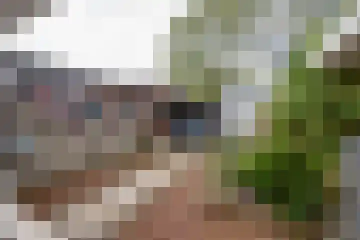 Slagbaai 22 Almere thumbnail 28