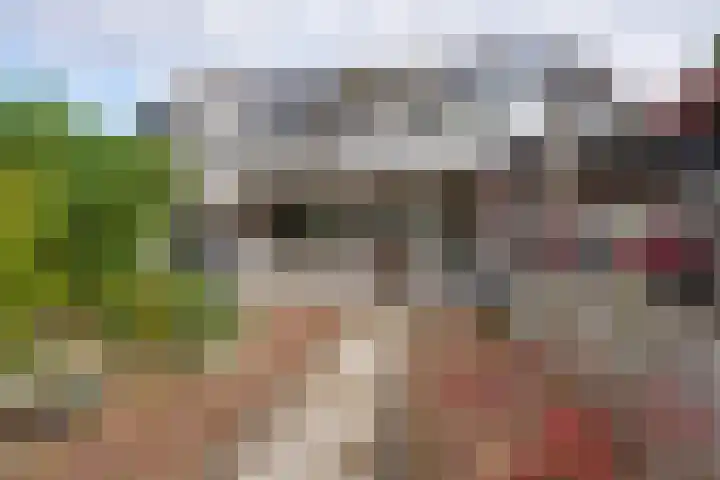 Slagbaai 22 Almere thumbnail 30
