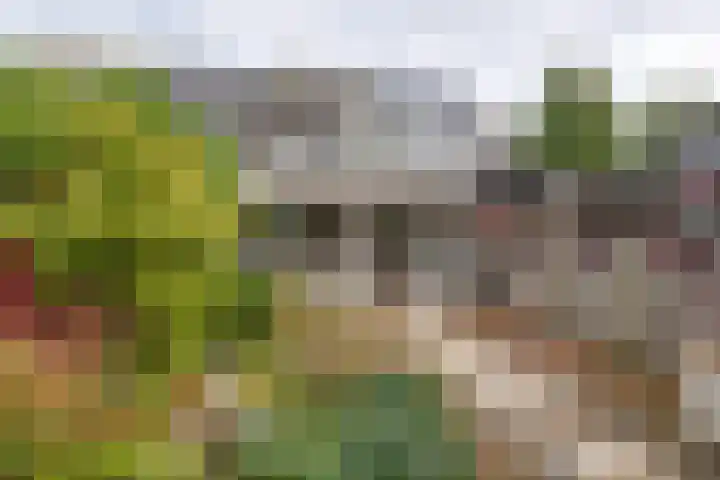 Slagbaai 22 Almere thumbnail 4