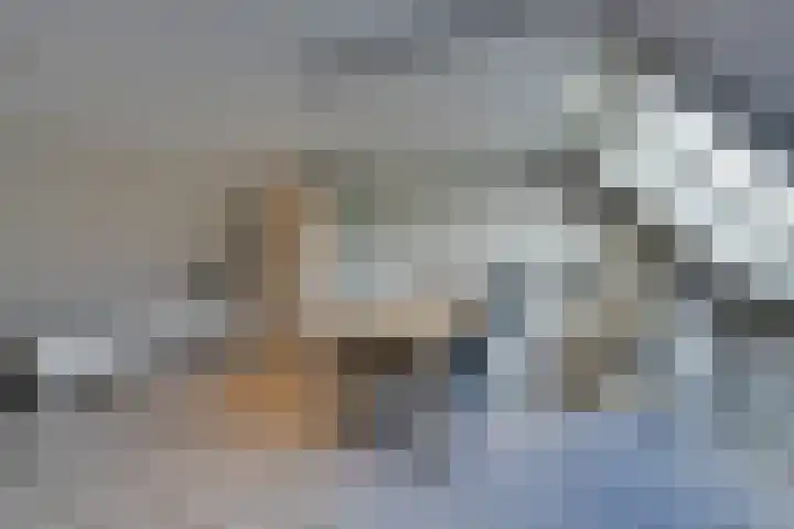 Slagbaai 22 Almere thumbnail 48