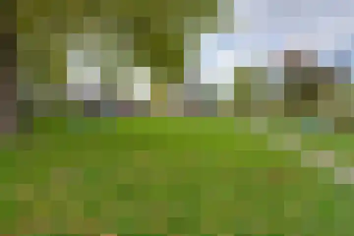 Slagbaai 22 Almere thumbnail 49