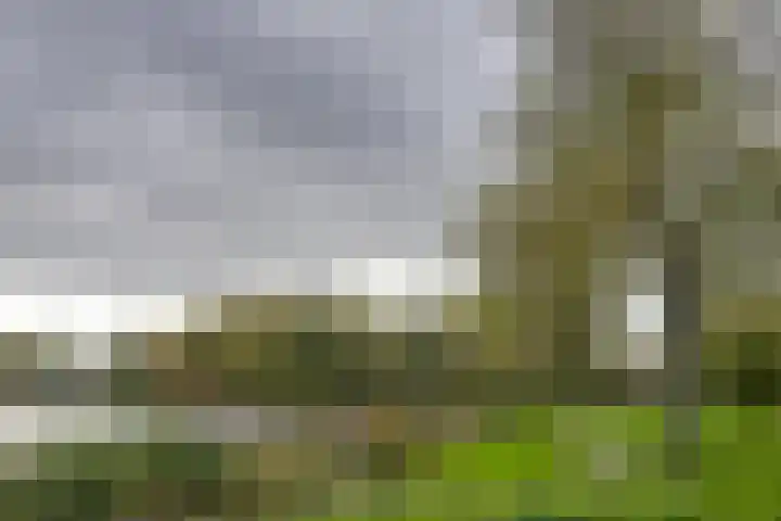Slagbaai 22 Almere thumbnail 50