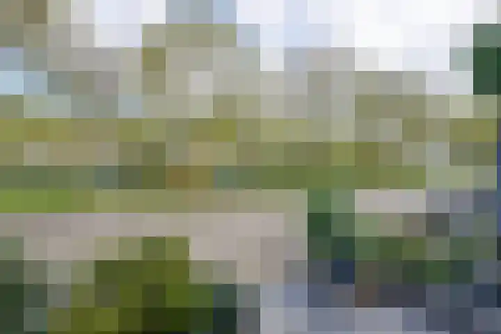 Slagbaai 22 Almere thumbnail 8