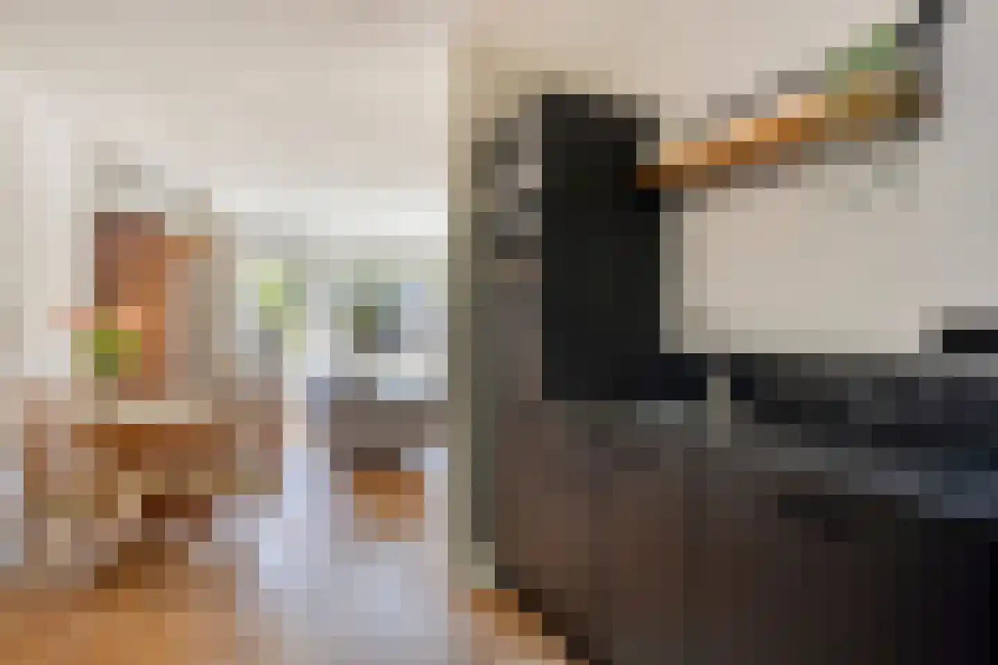 Slagboom 17 Warnsveld thumbnail 12
