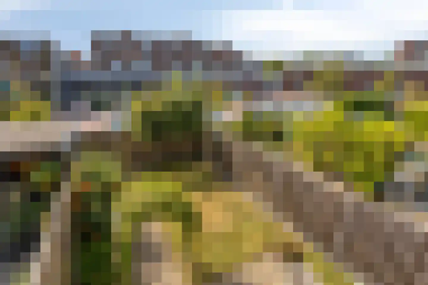 Slagboom 17 Warnsveld thumbnail 17