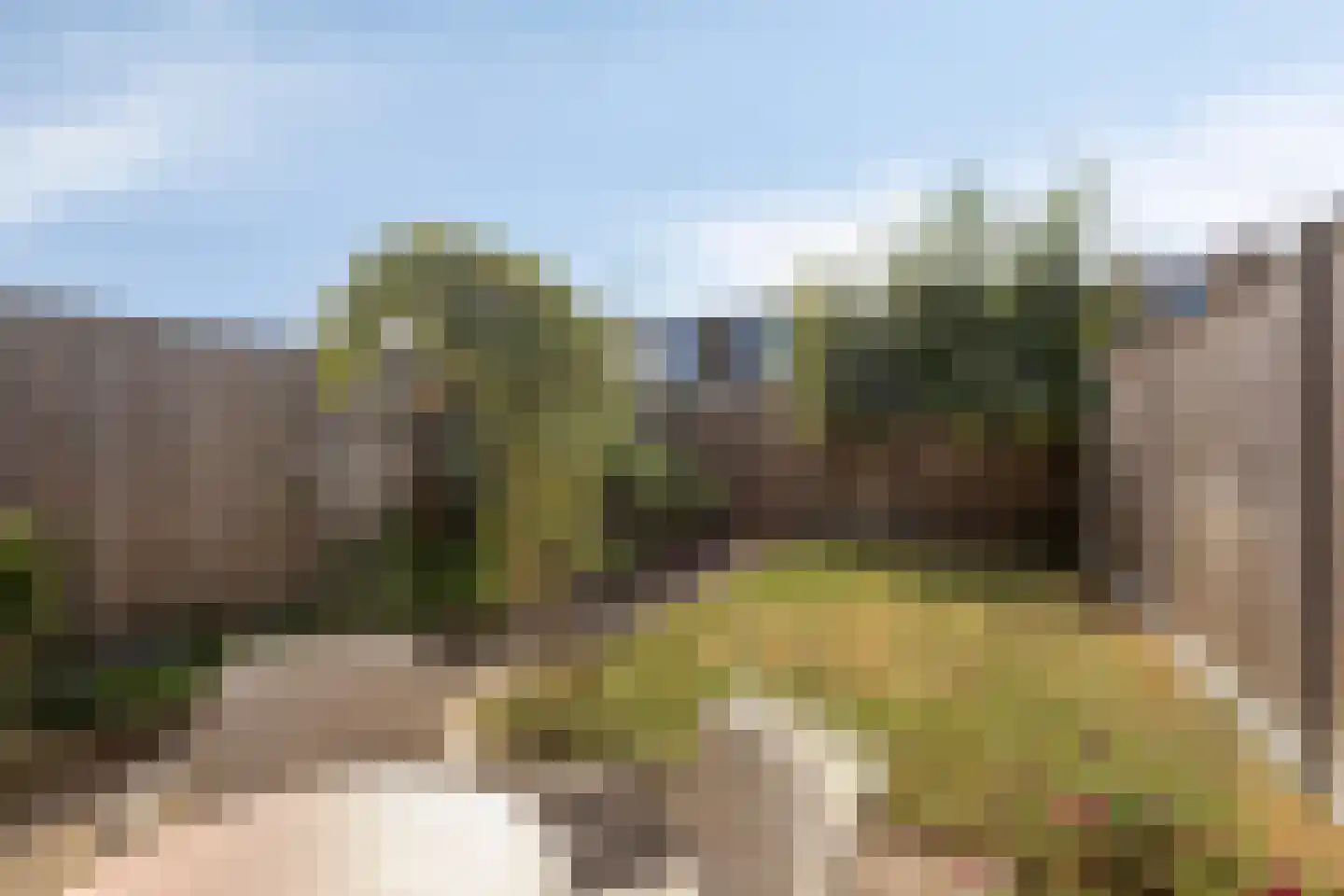 Slagboom 17 Warnsveld thumbnail 27