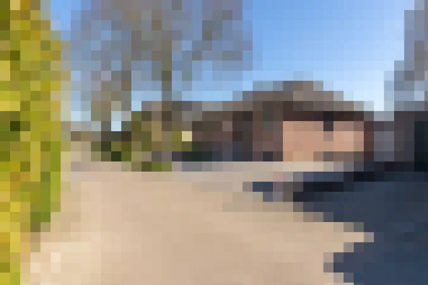 Slagboom 19 's-Heerenberg thumbnail 39