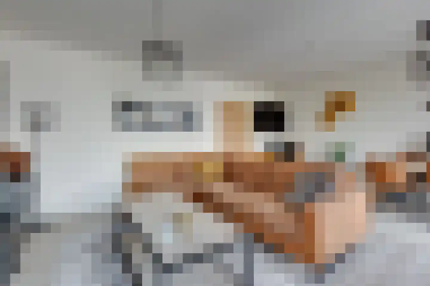 Slagboom 2 's-Heerenberg thumbnail 11