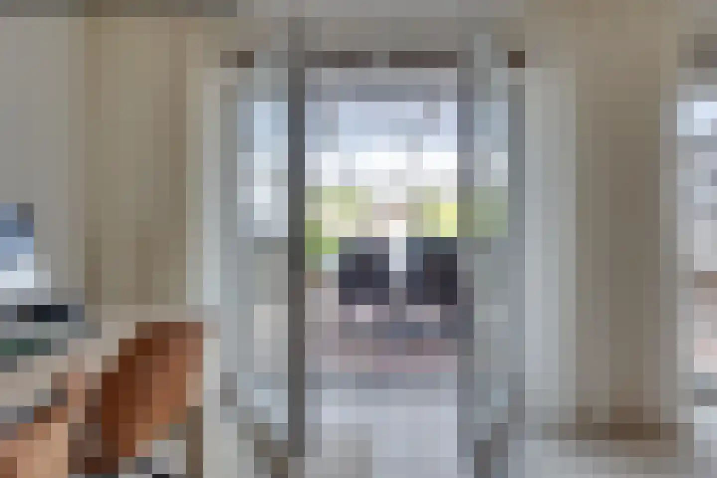 Slagboom 2 's-Heerenberg thumbnail 14
