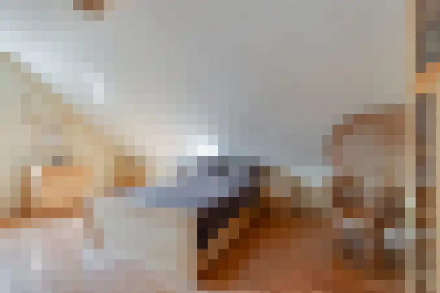 Slagboom 2 's-Heerenberg thumbnail 22