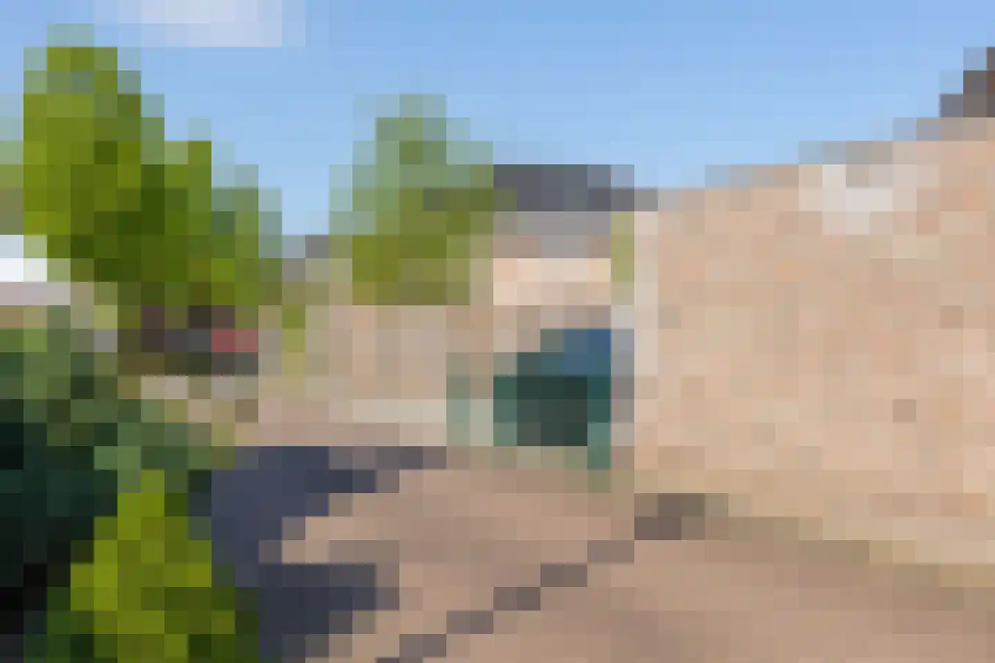 Slagboom 2 's-Heerenberg thumbnail 36