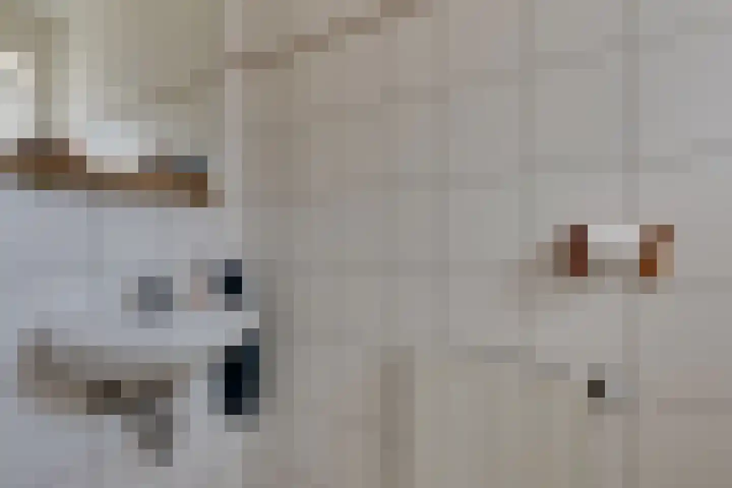Slagboom 2 's-Heerenberg thumbnail 8