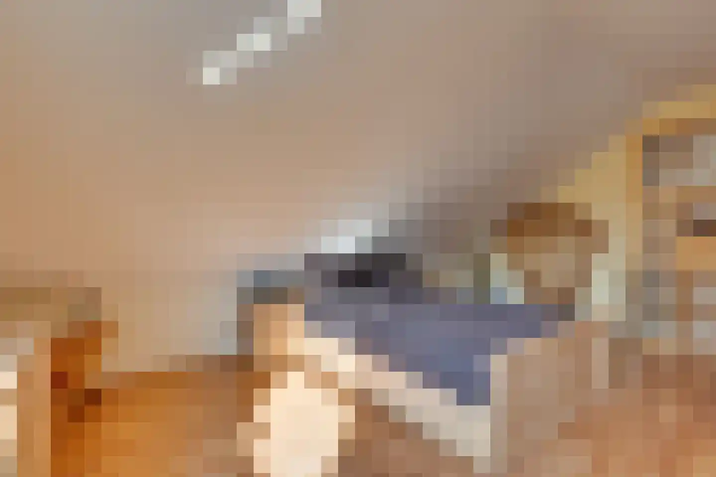Slagboom 3 's-Heerenberg thumbnail 21