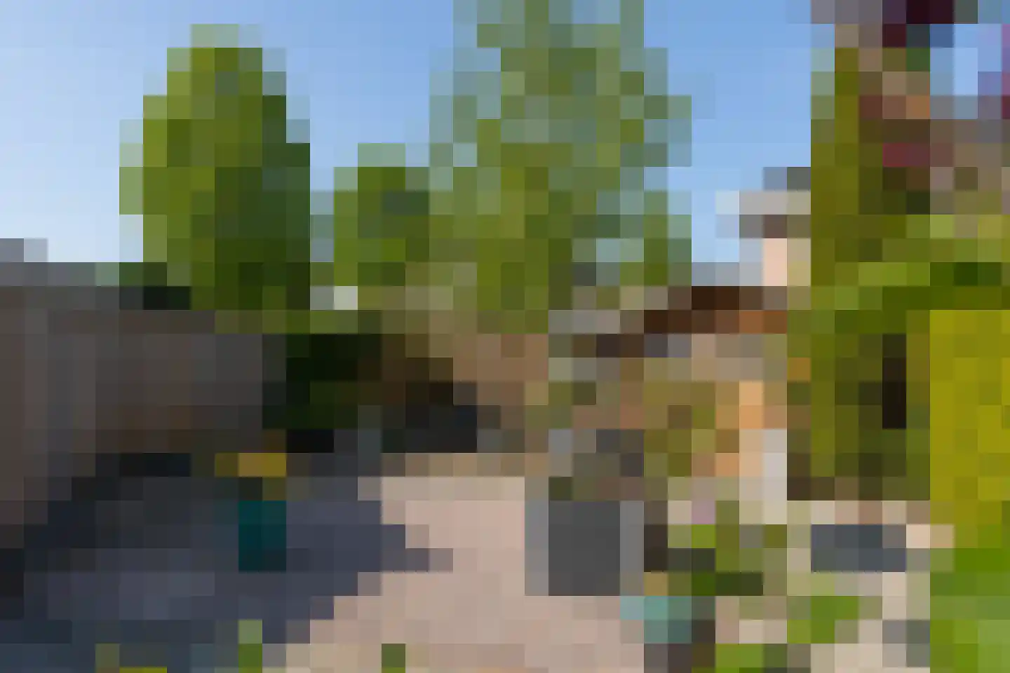Slagboom 3 's-Heerenberg thumbnail 30