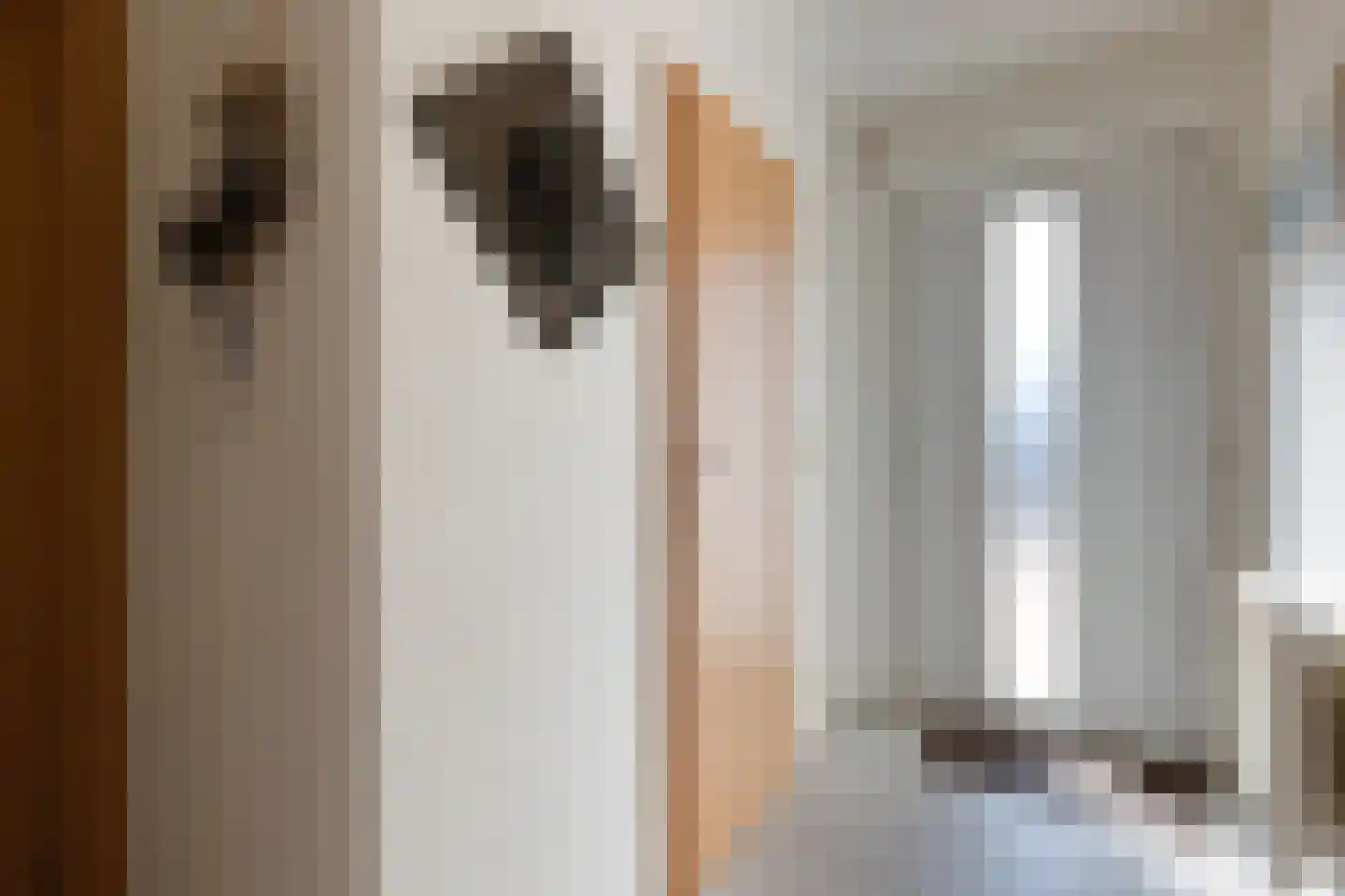Slagboom 3 's-Heerenberg thumbnail 6