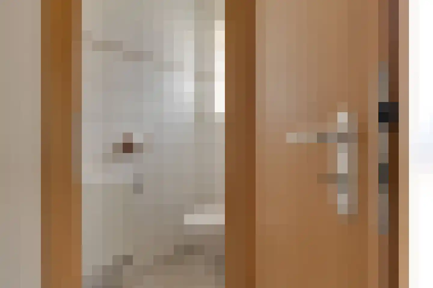 Slagboom 3 's-Heerenberg thumbnail 7