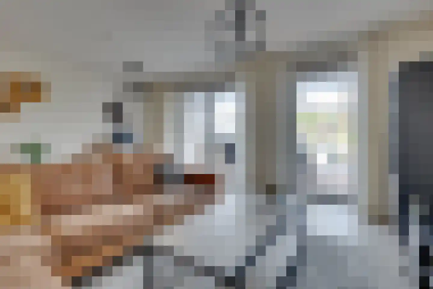 Slagboom 3 's-Heerenberg thumbnail 9