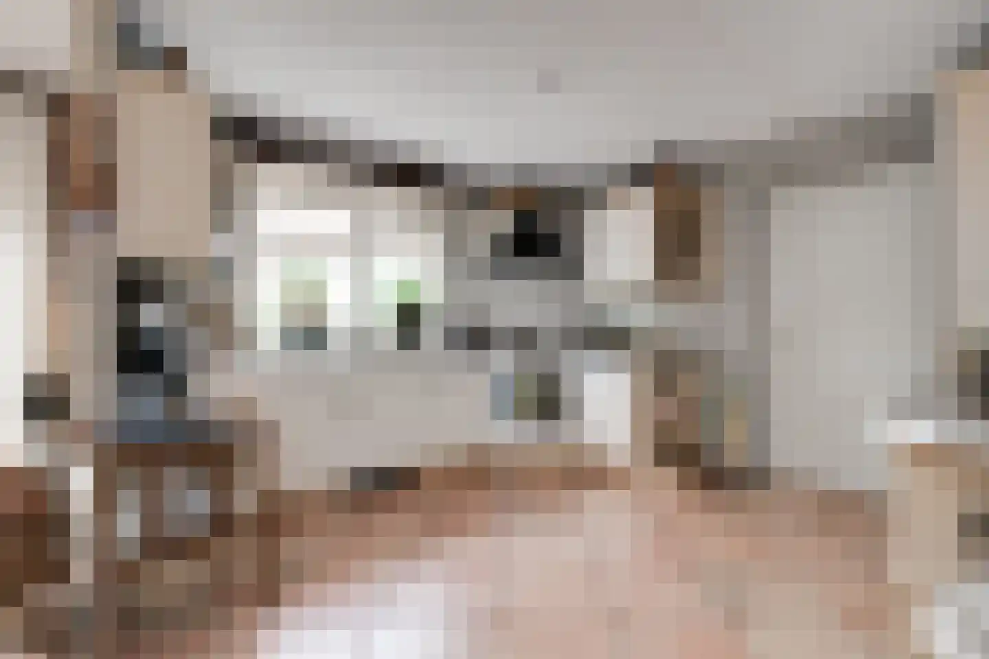 Slagboom 6 's-Heerenberg thumbnail 14