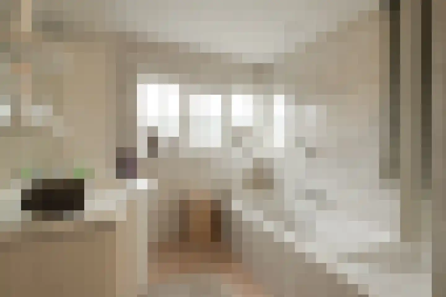 Slagboom 6 's-Heerenberg thumbnail 30