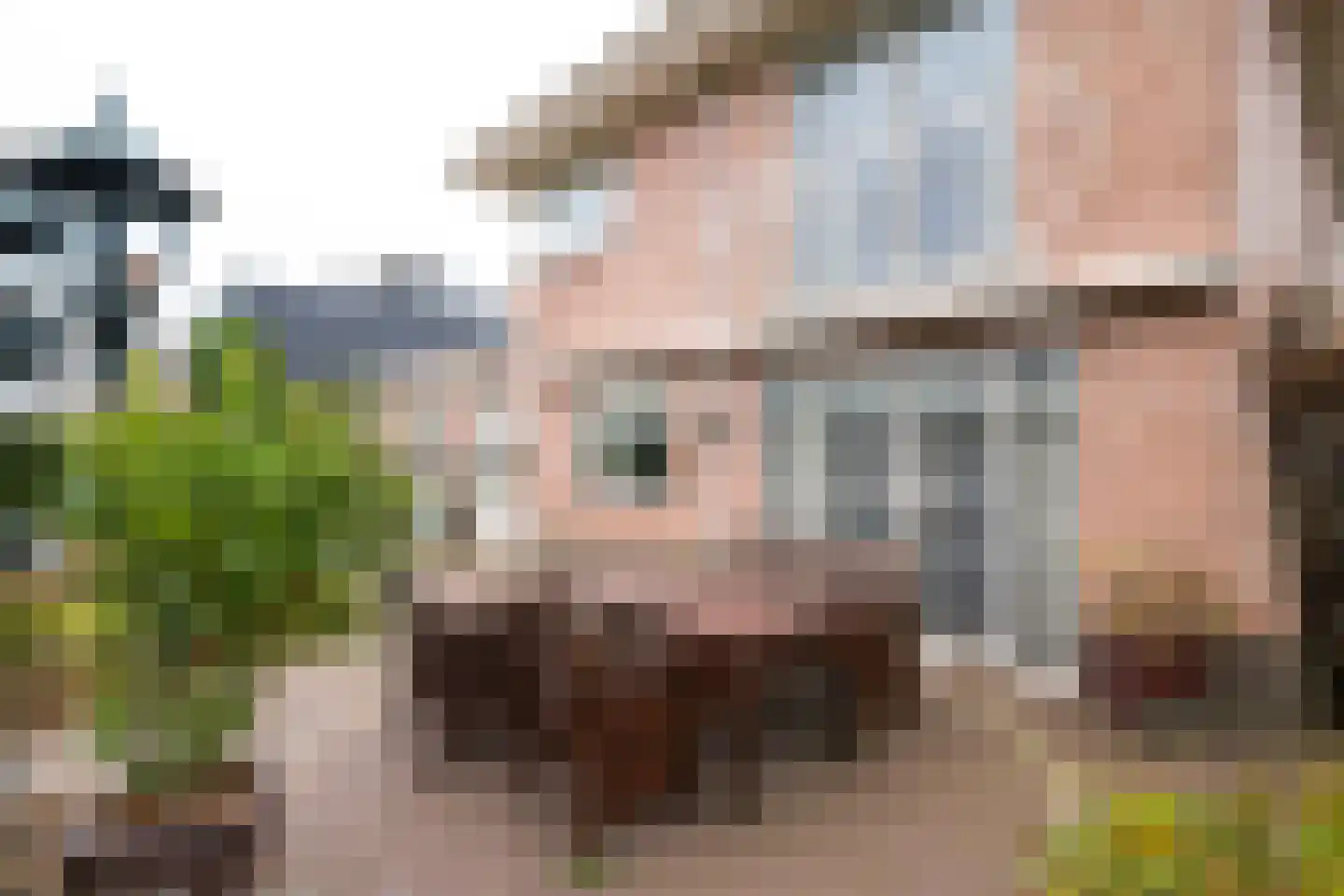 Slagboom 6 's-Heerenberg thumbnail 38