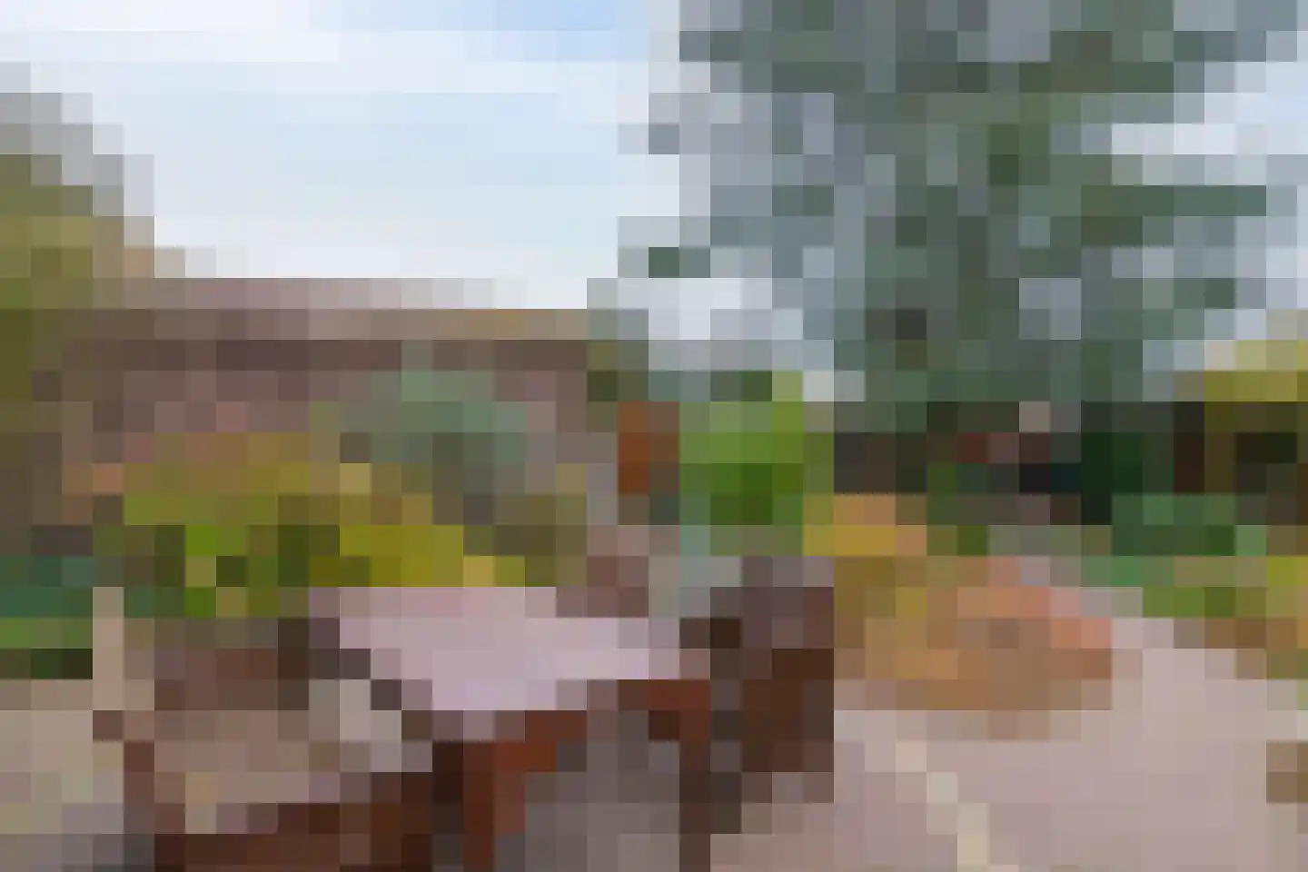 Slagboom 6 's-Heerenberg thumbnail 39
