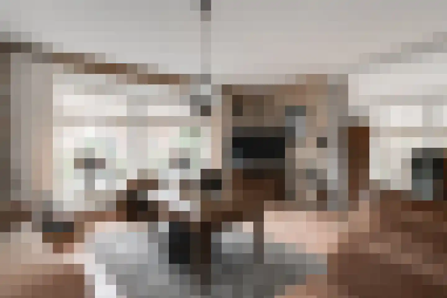 Slagboom 6 's-Heerenberg thumbnail 4