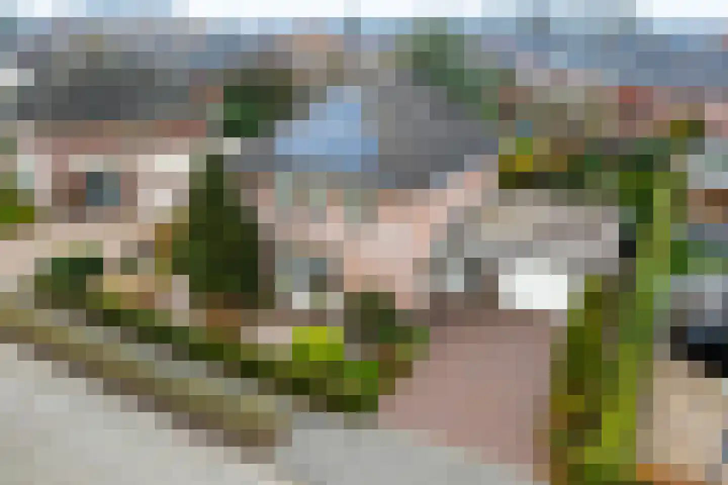 Slagboom 6 's-Heerenberg thumbnail 7