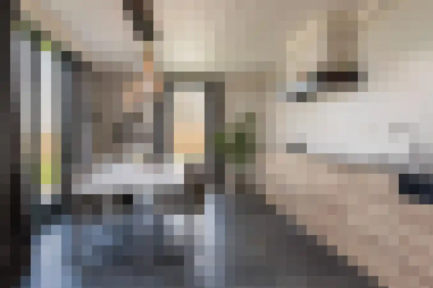 Slagboomsdijk 2 A Markelo thumbnail 11