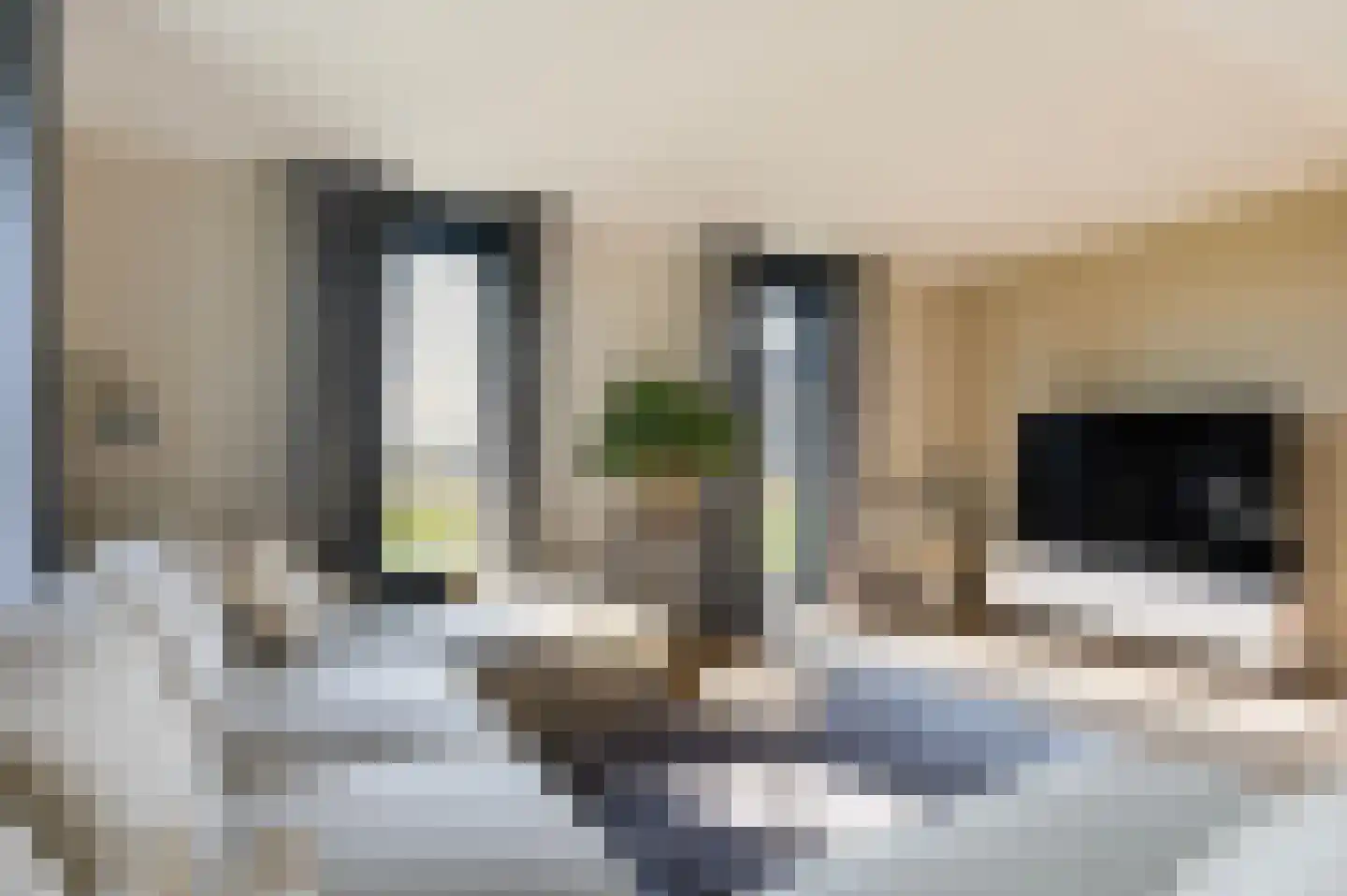 Slagboomsdijk 2 A Markelo thumbnail 13