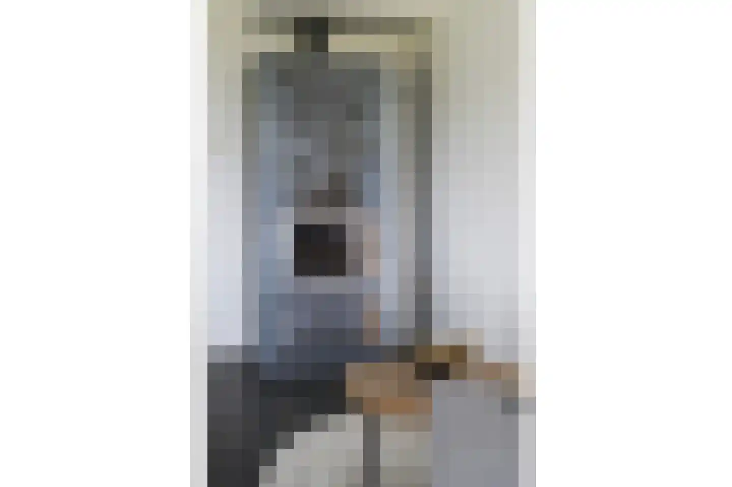 Slagboomsdijk 2 A Markelo thumbnail 24