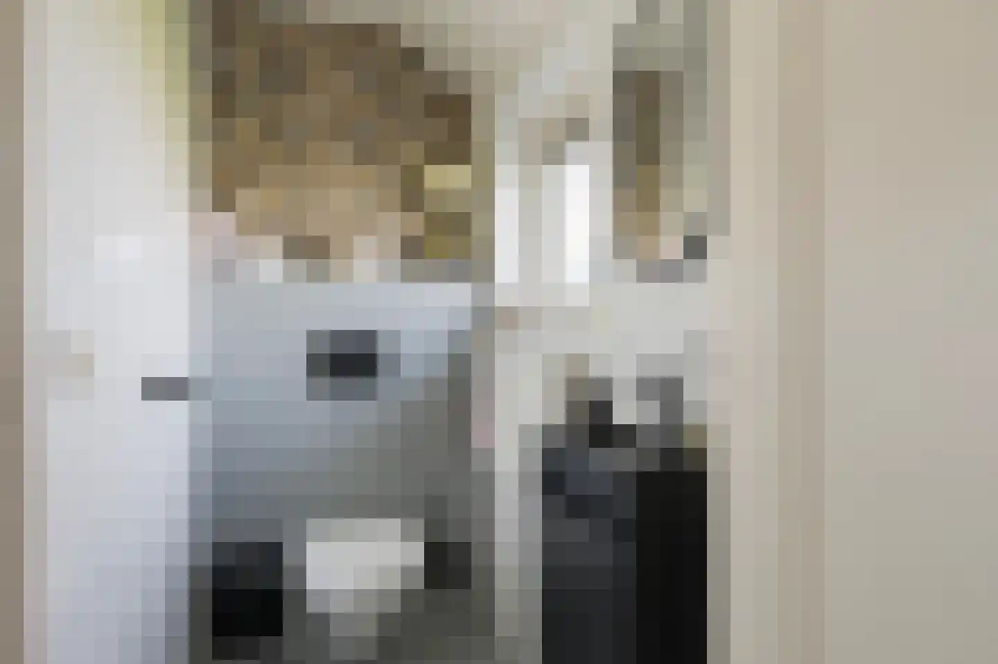 Slagboomsdijk 2 A Markelo thumbnail 26