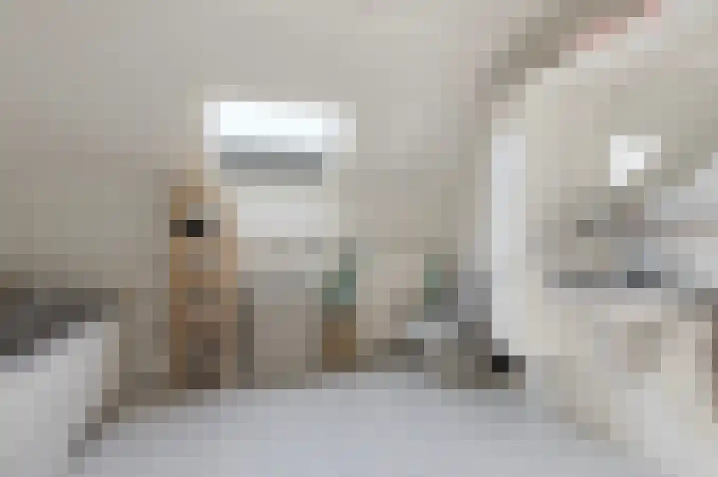 Slagboomsdijk 2 A Markelo thumbnail 34