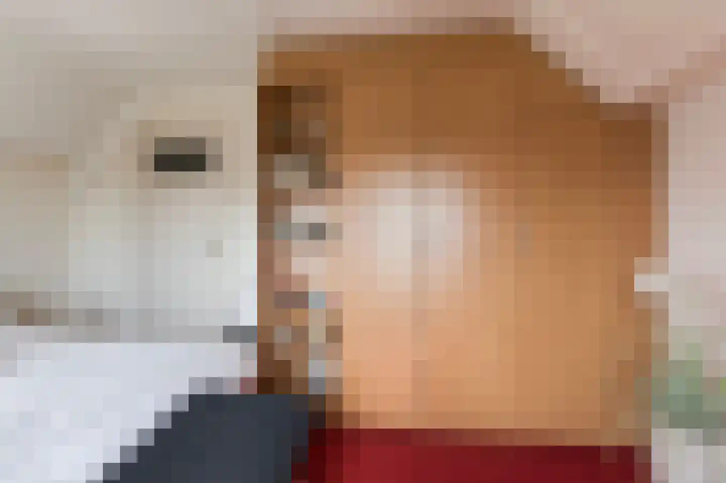 Slagboomsdijk 2 A Markelo thumbnail 39
