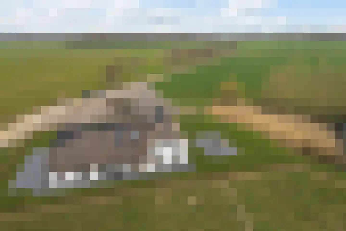 Slagboomsdijk 2 A Markelo thumbnail 50