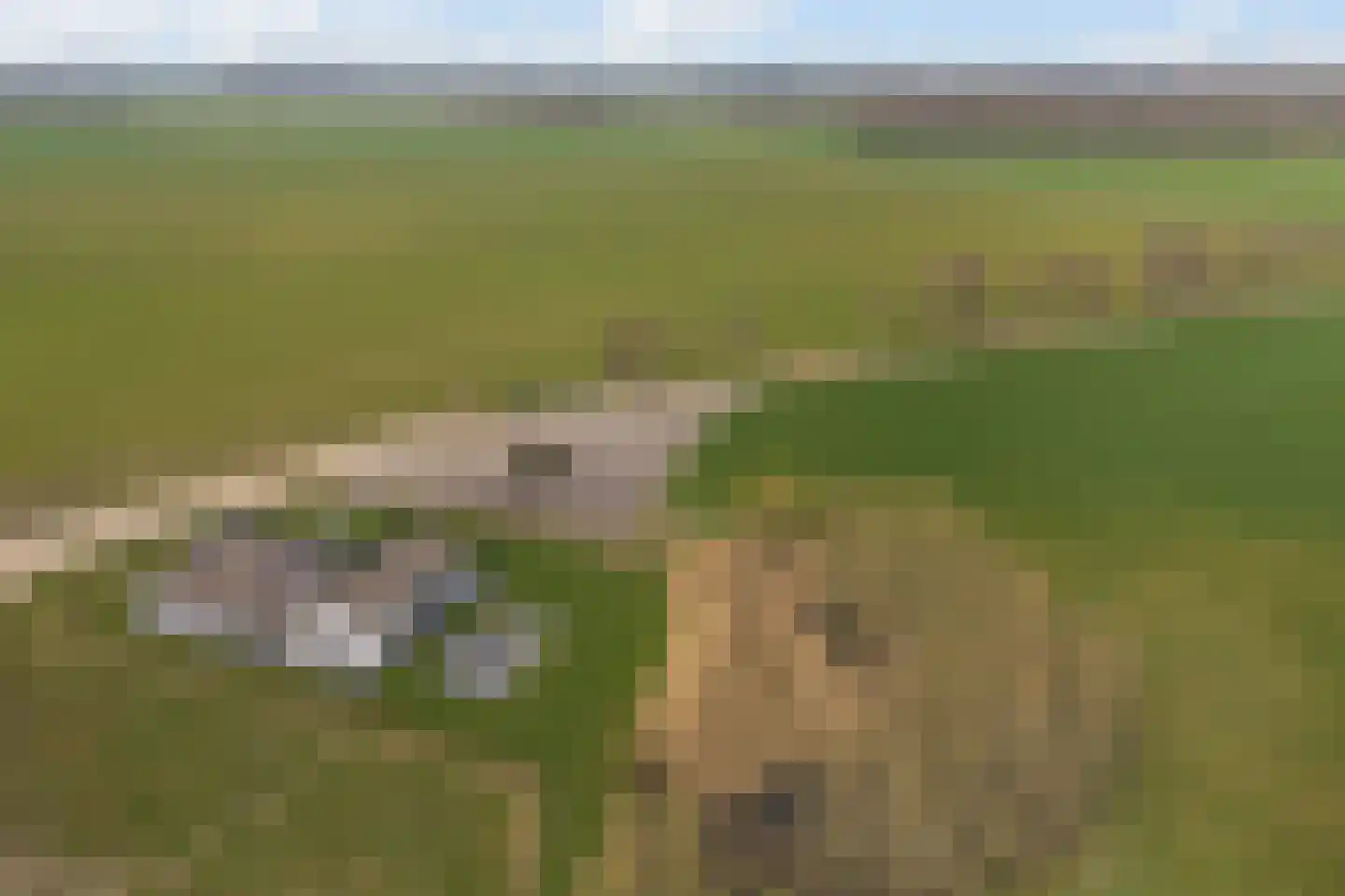 Slagboomsdijk 2 A Markelo thumbnail 51