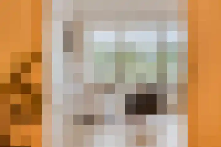 Slagdijk 17 Goor thumbnail 10