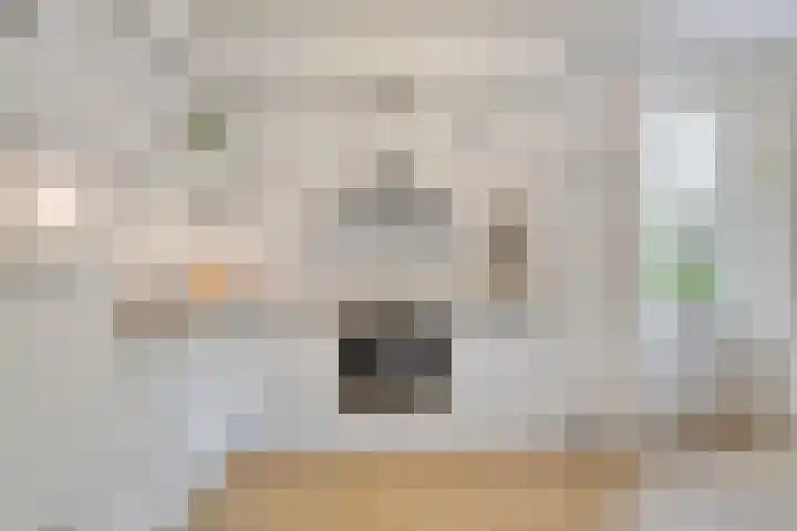 Slagdijk 17 Goor thumbnail 23