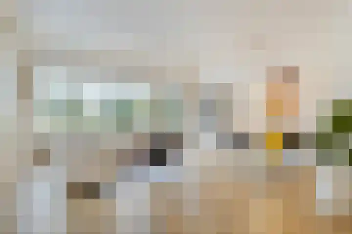 Slagdijk 17 Goor thumbnail 24