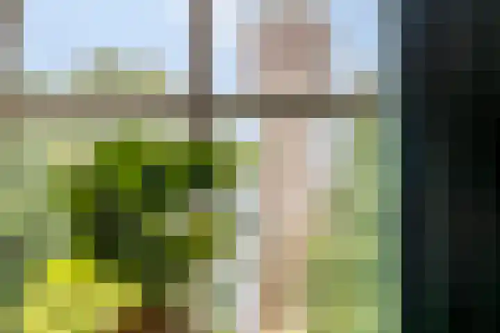 Slagdijk 17 Goor thumbnail 28