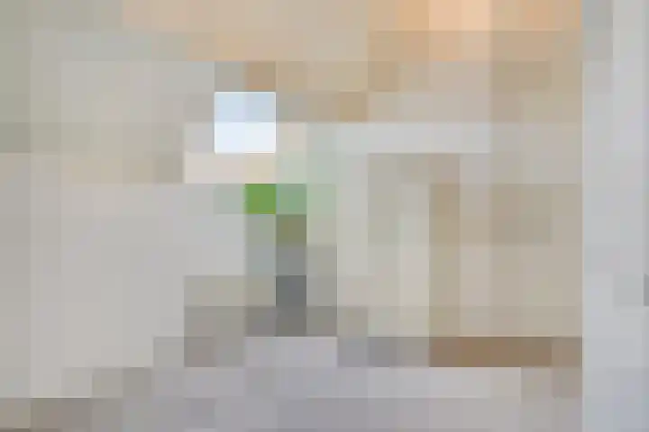 Slagdijk 17 Goor thumbnail 32