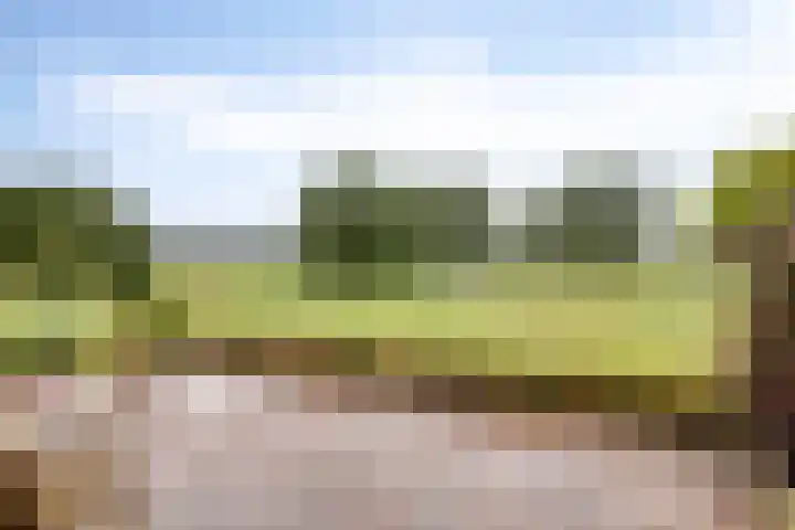 Slagdijk 17 Goor thumbnail 35